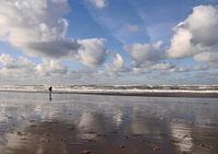 le paradis sur terre