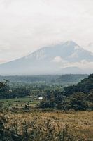 Vues du paradis : Rizières et Mont Agung dans l'enchanteresse Bali