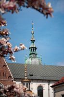 Wawel Cathedral, Cracow