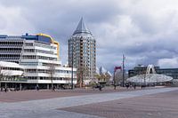 Binnenrotte Rottedam