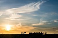 Avant que la nuit tombe