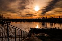 Hoogtij in de Kruibeekse polders