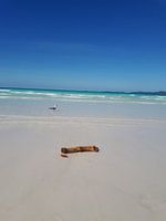 Paradise: wit strand an tuquoise water!