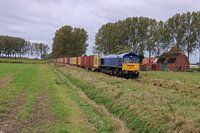 Medway bei Vlaeynatie Zeeuws Vlaanderen