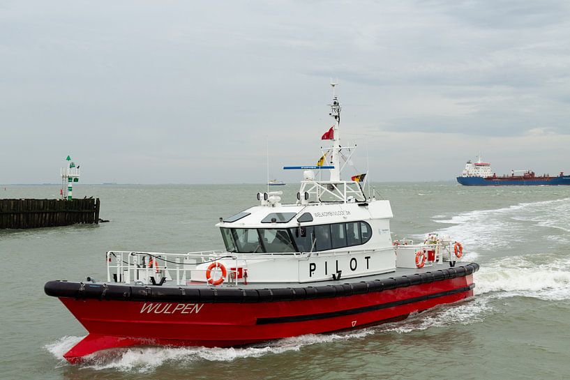 Bateau-pilote Wulpen Vlissingen par MSP Canvas