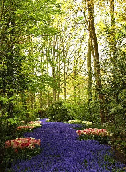Keukenhof Serie - Blumenfluss von Wilma Overwijn