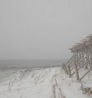Minimalistisch kustlandschap Lofoten