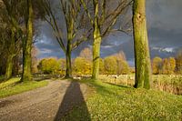 Dunkle Wolken über dem Biesbosch