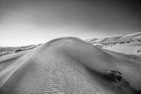 Sand dunes in the desert