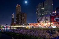 Luxor, Leiter des Südens