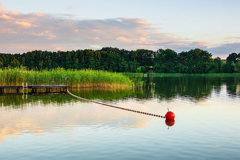 Landschaft am Kleinen Pälitzsee bei Pälitzhof von Rico Ködder