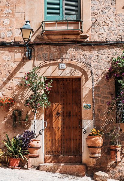 Spanisch auf der Insel Mallorca von Dayenne van Peperstraten