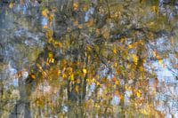 Bunter Herbst mit fallenden Blättern