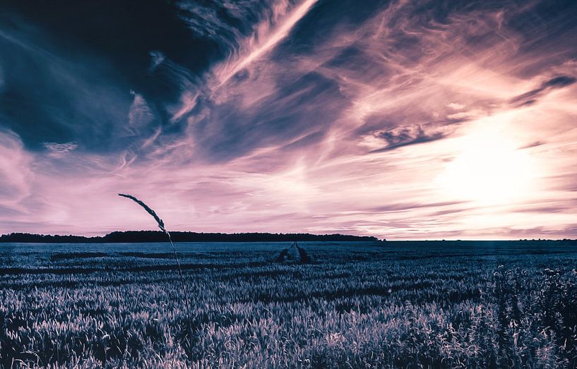 The Way of the Gladiator - Summer, Sun, Desire by Jakob Baranowski - Photography - Video - Photoshop