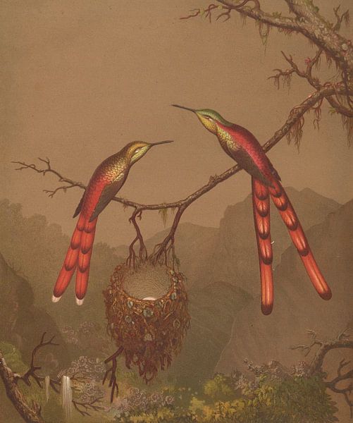 Colibris brésiliens I, Martin Johnson Heade par Des maîtres magistraux