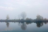 drei Bäume im Nebel.