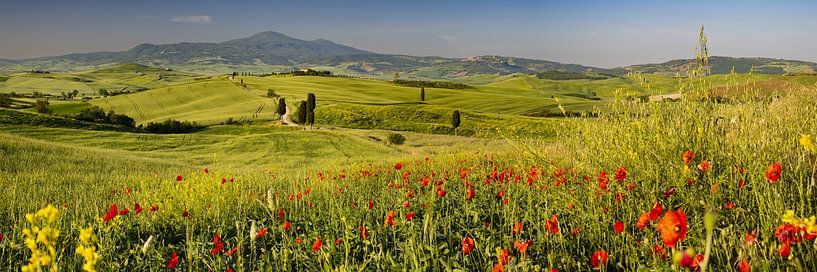 Printemps dans le Val d'Orcia en Toscane par Walter G. Allgöwer