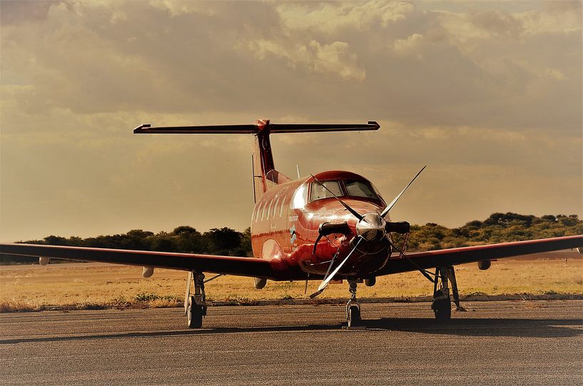 Rondom de wereld by Eline netnas