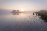 Strabrechtse Heide 225