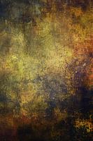 ? Expérience dans le domaine de la santé