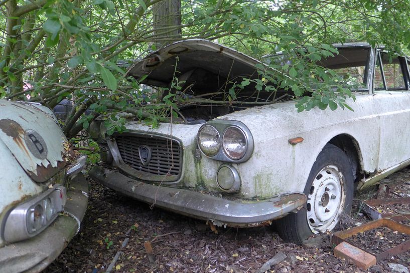 Lancia auto von Ivana Luijten