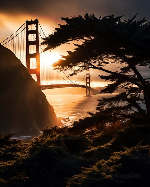 Blick über die Bucht von fernlichtsicht