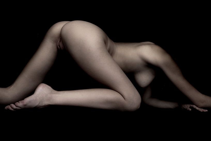 Low Key Bodyscape of a Woman Buttocks Vagina in Colour by Art By Dominic