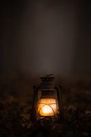 Lantern in the fog