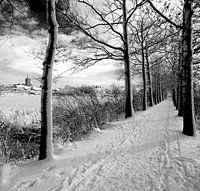 Vianen mit Vrijerslaantje im Schnee