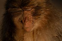 Wie die Faust aufs Auge!