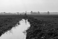 La prairie en noir et blanc