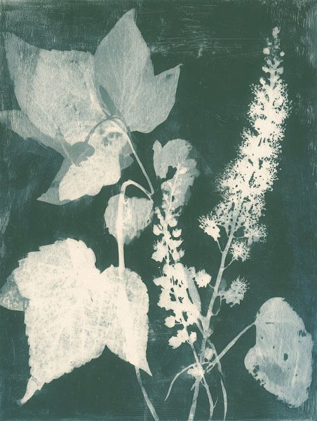 Cyanotype botanique vert - art serein de la feuille et de la lumière par But First Framing