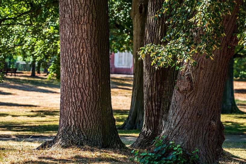Dans le parc par Thomas Riess