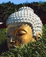 bouddha