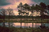 Pflichtfeld: schwebende Luft