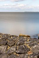 Quiet life on the Wadden coast