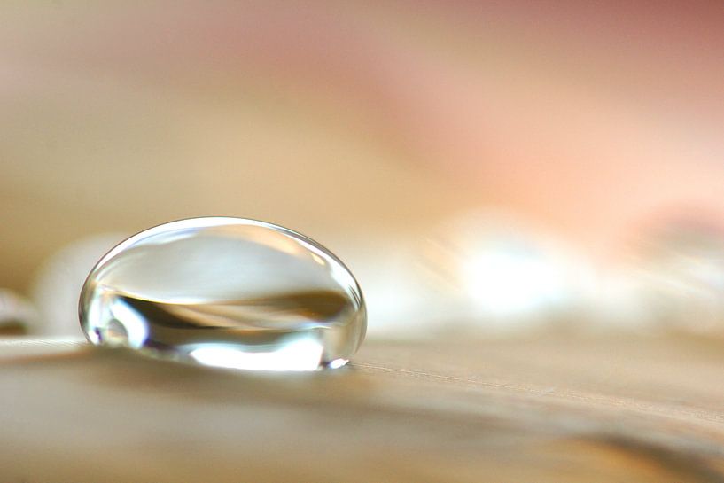 Let the sun shine by Carla Mesken-Dijkhoff