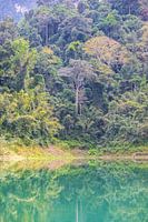 Waterfront jungle Khao sok, Thailand