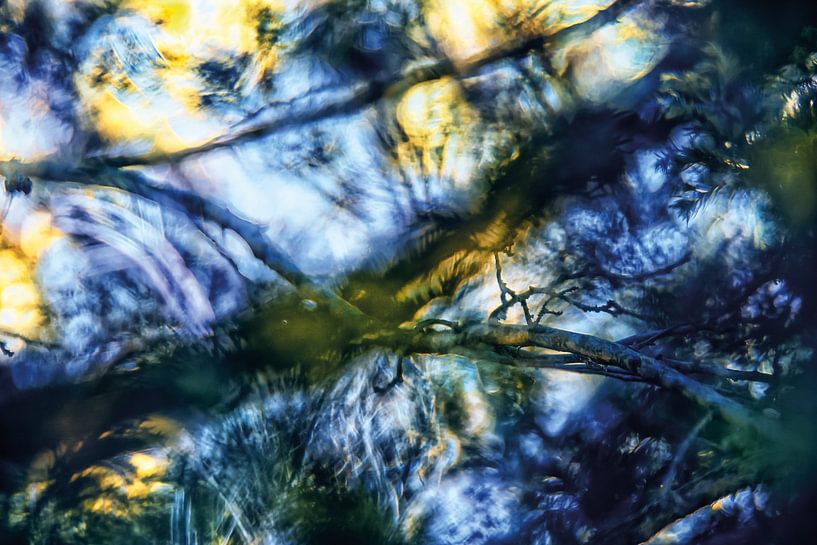 Petites branches en lumière abstraite par Nicc Koch