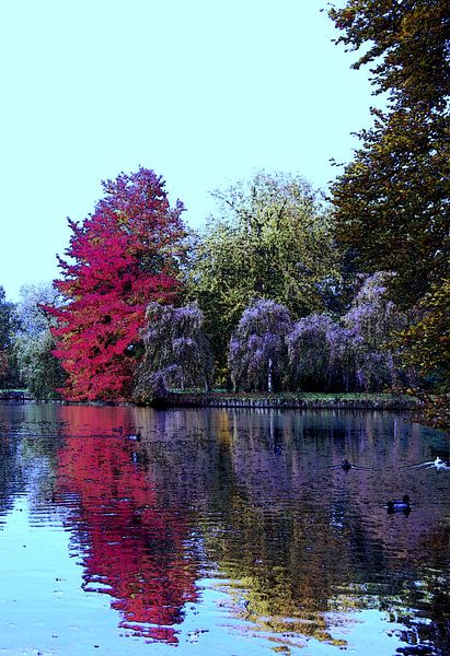 Autumn image by Greta Lipman