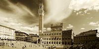 Dolce Vita Serie - Piazza del Campo - Siena / Siena