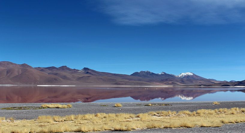 Bolivian landscape by Marieke Funke