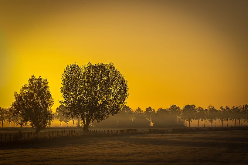 Morning landscape by Herwin van Rijn