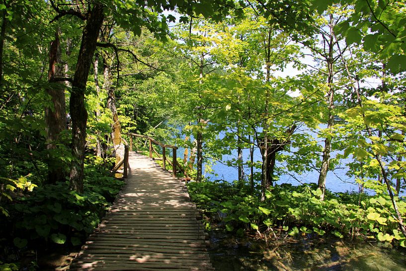 Nationalpark Plitvicer Seen, Kroatien by Renate Knapp