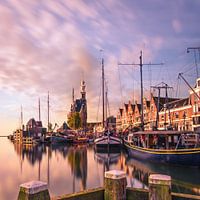The Dutch Harbour