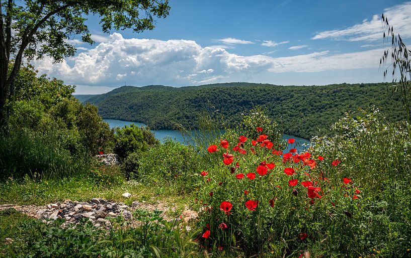 Limski Kanaal 2 by Johan Vet