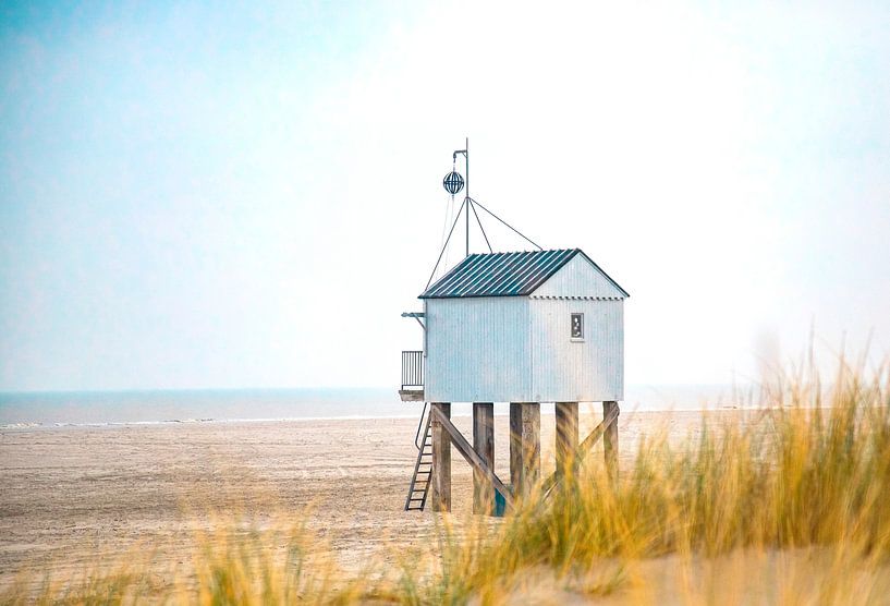 Das Haus am Strand Terschelling von Karin Bakker