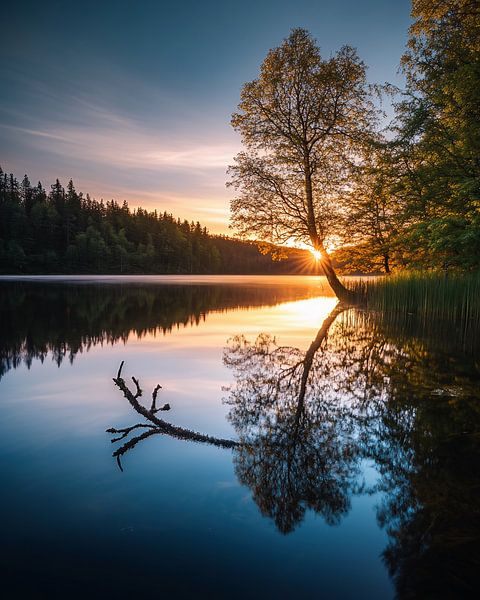 Magisches Morgenlicht von fernlichtsicht