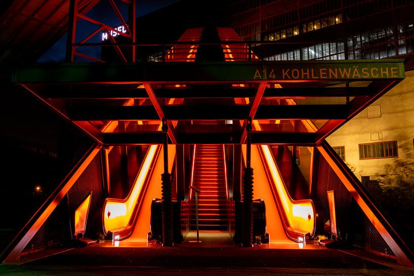 Flying high by Jenny Kambeck