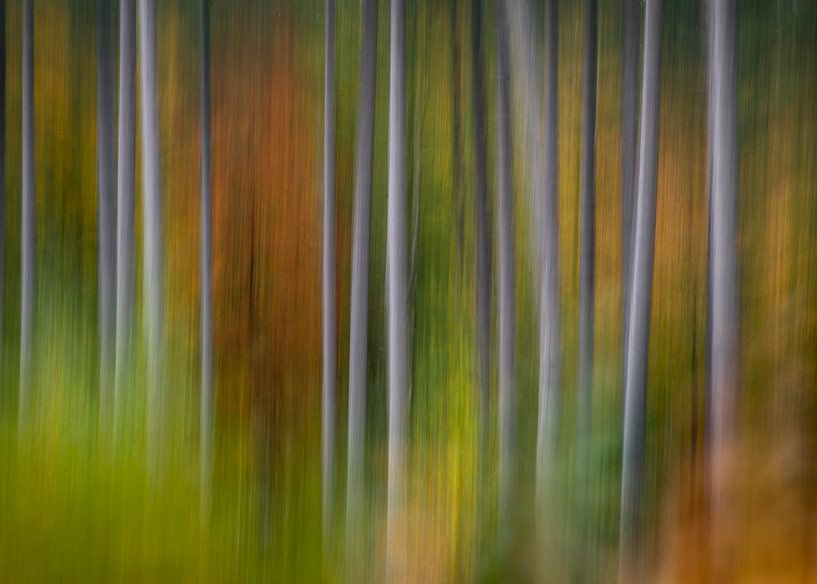 Herbstvibrationen von Christl Deckx